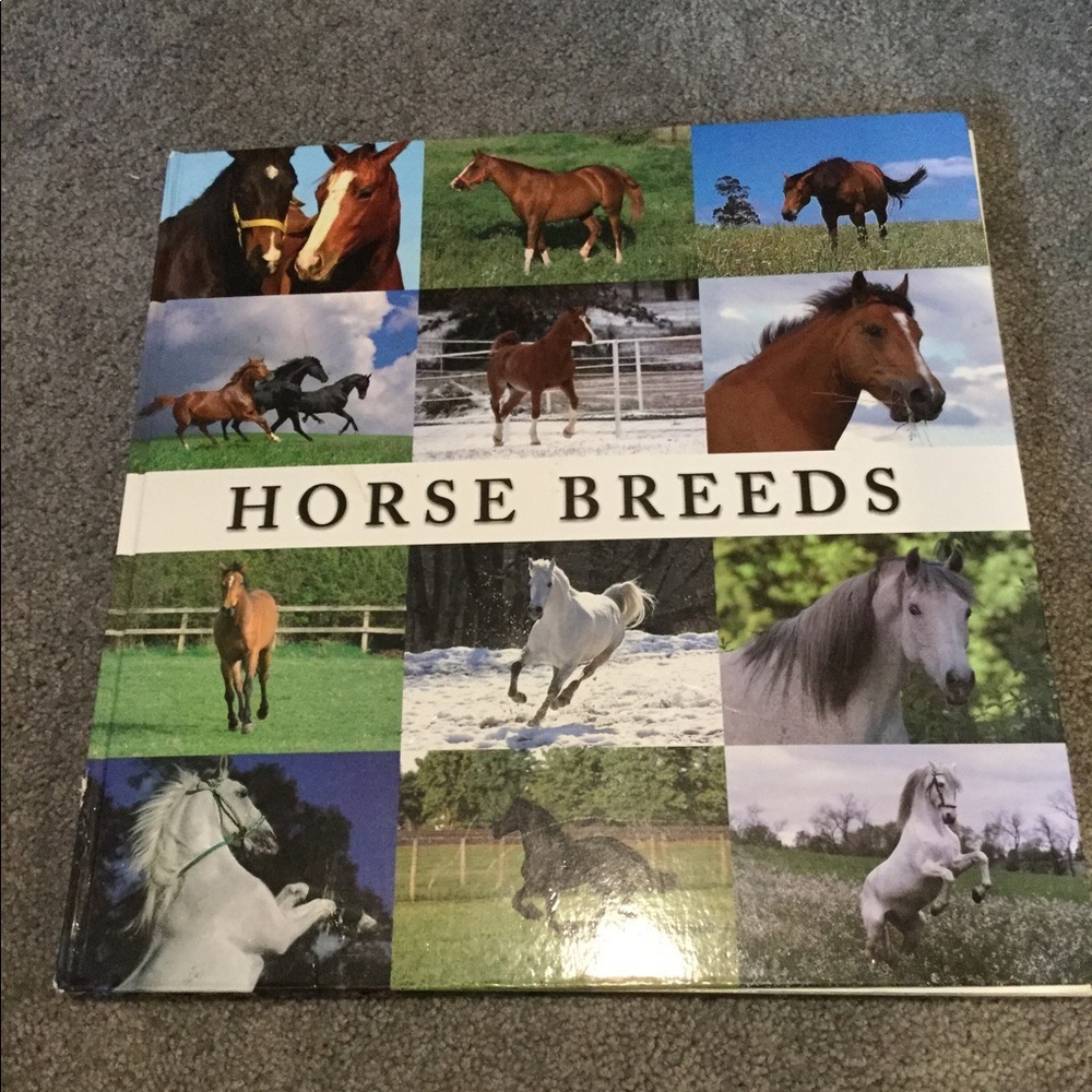 HORSE BREEDS JAMES KINGSTON VINTAGE RIDING XL HARD COVER COFFEE TABLE BOOK Y2K